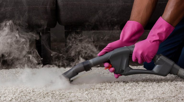 professional steam cleaner