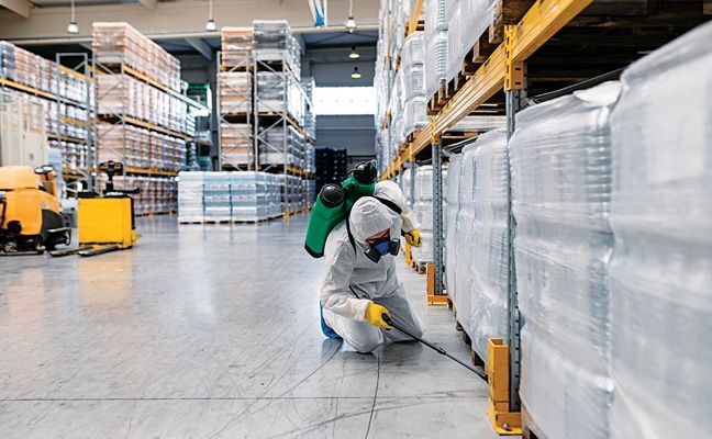 pest control Saskatoon