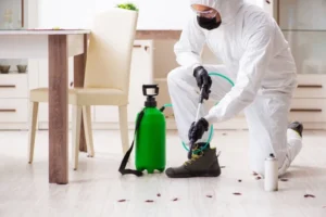 pest control service Saskatoon